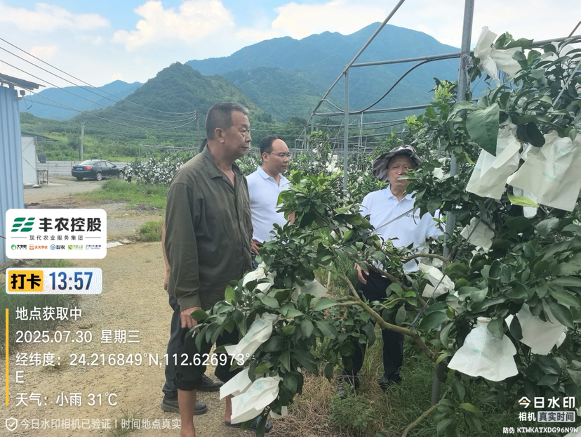 邓老师带队考察开发泰国红宝石基地。