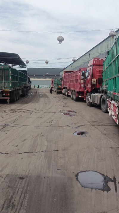 发酵 鸡粪，发酵羊粪 有机肥 微生物肥 微生物菌肥 微生物菌剂 每天出货量1500多吨，都是老客户介绍新微生物菌肥，山西马上出发，近期用肥的老板提前联系，马上到国庆节＋中秋节 一大部分物流都会放假，到