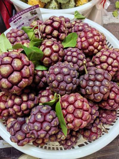 认水果，有认识的吗？