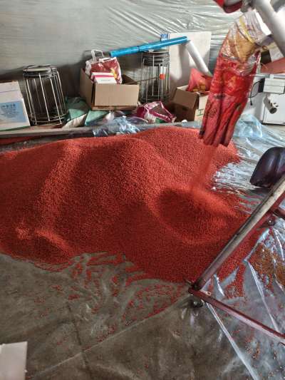 四冠包衣拌种，防虫防病壮苗增产。