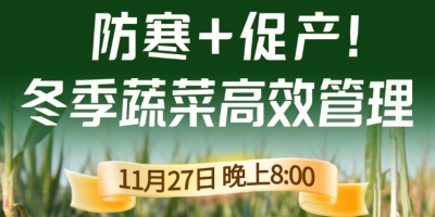 《细说农技》专家张宝林教冬季蔬菜防寒 + 促产高效管理，27 日晚 8 点！