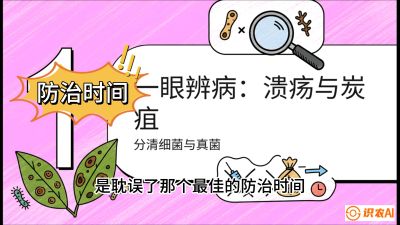 第三节：细菌与真菌&mdash;&mdash;溃疡病与炭疽病，课程：《柑橘十大病虫害：从入门到精通》