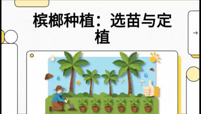 第01节：选苗与定植&mdash;&mdash;&ldquo;苗好一半收，底肥定千秋&rdquo;课程：《槟榔种植：从不懂到精通的10堂必修课》