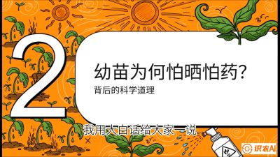 第02节：幼树管理&mdash;&mdash;&ldquo;防晒又防草，树势起得早&rdquo;，课程：《槟榔种植：从不懂到精通的10堂必修课》