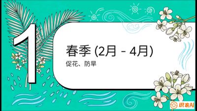 第10节：周年农事日历&mdash;&mdash;&ldquo;跟着节气走，丰产在手头&rdquo;《槟榔种植：从不懂到精通的10堂必修课》
