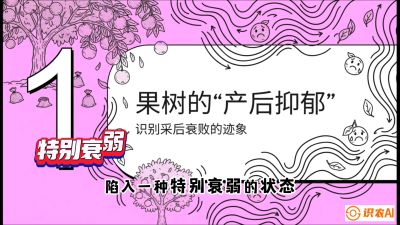 第2节：【冬肥策略】采后&ldquo;月子肥&rdquo;：大小年的精准干预术，课程：《柑橘底肥&ldquo;翻身账&rdquo;：从改土到高产的实战全书》
