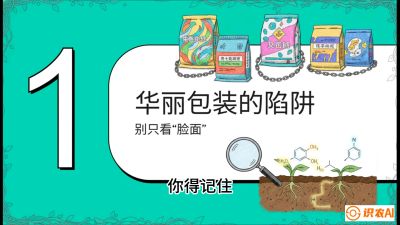 第4节：【黄金配方】底肥里的&ldquo;铁三角&rdquo;与&ldquo;微量雷区&rdquo;课程：《柑橘底肥&ldquo;翻身账&rdquo;：从改土到高产的实战全书》