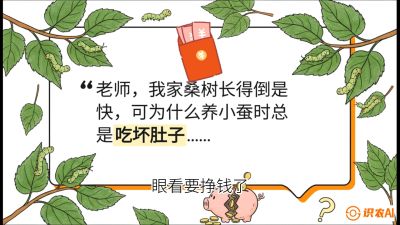 第01节：不仅仅是树&mdash;&mdash;顶级品种选配策略，课程：《桑海淘金：桑树高产与蚕桑安全进阶实战课》