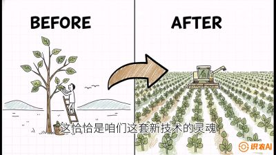 第02节：把树变成草&mdash;&mdash;&ldquo;草本化密植&rdquo;技术，课程：《桑海淘金：桑树高产与蚕桑安全进阶实战课》