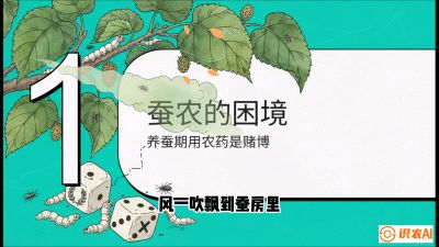 第06节：虫口夺叶（上）&mdash;&mdash;物理与生物防控绝技，课程《桑海淘金：桑树高产与蚕桑安全进阶实战课》