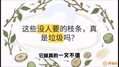 第12节：变废为宝&mdash;&mdash;循环农业实操，课程：《桑海淘金：桑树高产与蚕桑安全进阶实战课》