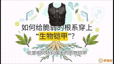 第三节：国产榴莲突围战：根系堡垒，菌根微生态构建与黄金定植窗口，课程：《国产榴莲突围战：从泰国经验到中国实操的8堂必修课（高阶实战版）》