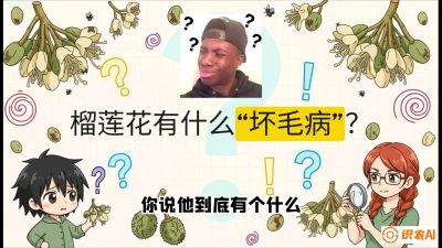 第六节：榴莲的午夜战事，夜间授粉战与花果期避雨策略，课程：《国产榴莲突围战：从泰国经验到中国实操的8堂必修课（高阶实战版）》