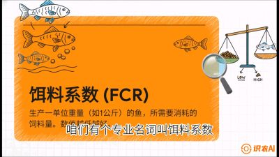 第五节：【高端单品&middot;鳜鱼】&ldquo;饲料鳜&rdquo;技术：打破吃活饵的高成本魔咒，课程：《黄金鳞甲：2025中国淡水鱼高效养殖实战营》