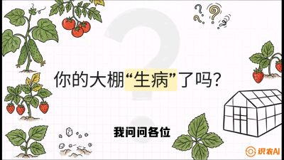 第2节（解毒篇）： 大棚里的&ldquo;红白绿&rdquo;警报&mdash;&mdash;读懂土壤盐渍化的求救信号，课程：《揭秘土壤的秘密：让土地帮你赚钱》#识农AI