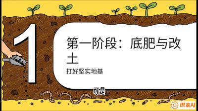 第6节（统筹篇）： 省钱又增产的&ldquo;黄金配比&rdquo;&mdash;&mdash;不同作物全年的养土实操方案，课程：《揭秘土壤的秘密：让土地帮你赚钱》#识农AI