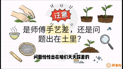 第02节（土肥篇）：告别&ldquo;苦涩水味&rdquo;：揭秘&ldquo;碳氮比&rdquo;调控术，种出自带兰花香的好茶底，课程：《茶金时代：从&ldquo;看天吃饭&rdquo;到&ldquo;精准控局&rdquo;的茶叶高产提质实战课》