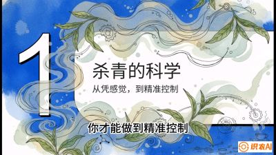 第05节（加工篇）：决胜2分钟：用&ldquo;数字温控&rdquo;破解杀青不匀，复刻大师级手工口感，课程：《茶金时代：从&ldquo;看天吃饭&rdquo;到&ldquo;精准控局&rdquo;的茶叶高产提质实战课》