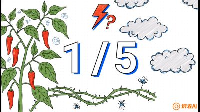 第6节：【花果爆发术】落花落果的五大元凶，与&ldquo;三喷一保&rdquo;坐果黑科技，课程：《辣椒种植实战特训营，从工业辣椒到精品小米辣，教你如何把&ldquo;草&rdquo;种成&ldquo;金&rdquo;》