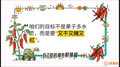 第7节：【工业辣椒专场】追求极致辣度！干物质提升与机械化采收的&ldquo;催红秘籍&rdquo;，课程：《辣椒种植实战特训营，从工业辣椒到精品小米辣，教你如何把&ldquo;草&rdquo;种成&ldquo;金&rdquo;》