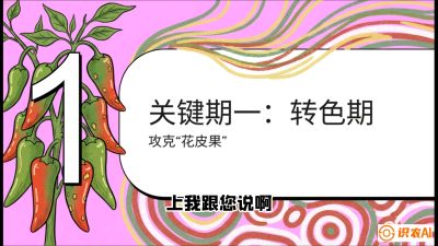 第8节：【小米辣线椒专场】颜值即正义！防花皮、防炭疽，打造收购商抢着要的&ldquo;精品果&rdquo;，课程：《辣椒种植实战特训营，从工业辣椒到精品小米辣，教你如何把&ldquo;草&rdquo;种成&ldquo;金&rdquo;》