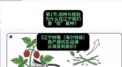第一节： 选种与规划&mdash;&mdash;为什么在辽宁我们要&ldquo;砍&rdquo;着种？，课程：《辽宁树莓（海尔特兹）高产避坑实战课：从保苗到高价》