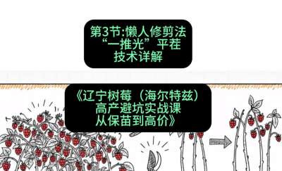 第三节： 懒人修剪法&mdash;&mdash;&ldquo;一推光&rdquo;平茬技术详解，课程：《辽宁树莓（海尔特兹）高产避坑实战课：从保苗到高价》