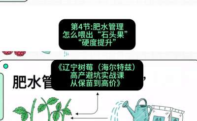 第四节： 肥水管理&mdash;&mdash;怎么喂出&ldquo;石头果&rdquo;（硬度提升），课程：《辽宁树莓（海尔特兹）高产避坑实战课：从保苗到高价》