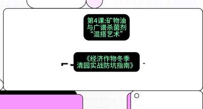 第4节：【替代方案】矿物油与广谱杀菌剂的&ldquo;混搭艺术&rdquo;，课程：《经济作物冬季清园&middot;实战防坑指南》#识农AI