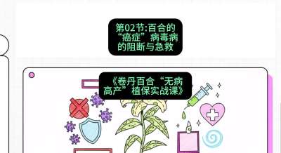 第02节：百合的&ldquo;癌症&rdquo;&mdash;&mdash;病毒病的阻断与急救，课程：《卷丹百合&ldquo;无病高产&rdquo;植保实战课》#识农AI