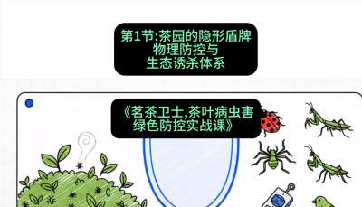 第01节：茶园的&ldquo;隐形盾牌&rdquo;&mdash;&mdash;物理防控与生态诱杀体系，课程：《茗茶卫士&mdash;&mdash;茶叶病虫害绿色防控实战课》#识农AI