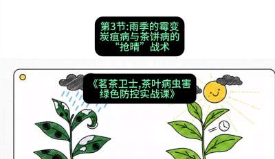 第03节：雨季的霉变&mdash;&mdash;炭疽病与茶饼病的&ldquo;抢晴&rdquo;战术，课程：《茗茶卫士&mdash;&mdash;茶叶病虫害绿色防控实战课》#识农AI