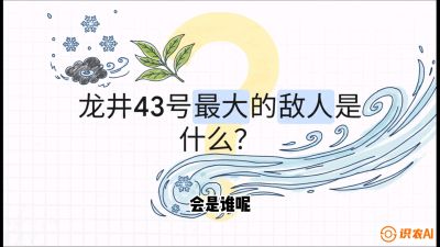 第04节：龙井双璧&mdash;&mdash;龙井43与群体种的差异化护养（重点），课程：《茗茶卫士&mdash;&mdash;茶叶病虫害绿色防控实战课》#识农AI