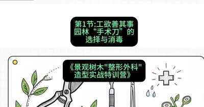 第01节：工欲善其事&mdash;&mdash;园林&ldquo;手术刀&rdquo;的选择与消毒，课程：《景观树木&ldquo;整形外科&rdquo;造型实战特训营》#识农AI