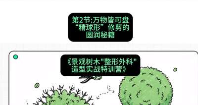 第02节：万物皆可盘&mdash;&mdash;&ldquo;精球形&rdquo;修剪的圆润秘籍，课程：《景观树木&ldquo;整形外科&rdquo;造型实战特训营》#识农AI