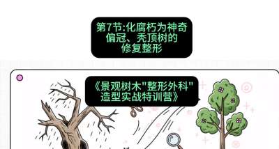 第07节：化腐朽为神奇&mdash;&mdash;偏冠、秃顶树的修复整形，课程：《景观树木&ldquo;整形外科&rdquo;造型实战特训营》#识农AI