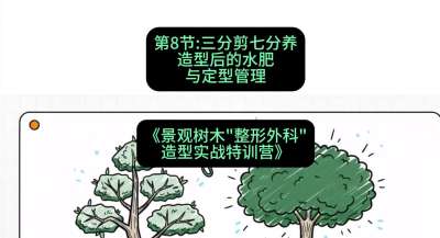 第08节：三分剪七分养&mdash;&mdash;造型后的水肥与定型管理，课程：《景观树木&ldquo;整形外科&rdquo;造型实战特训营》#识农AI