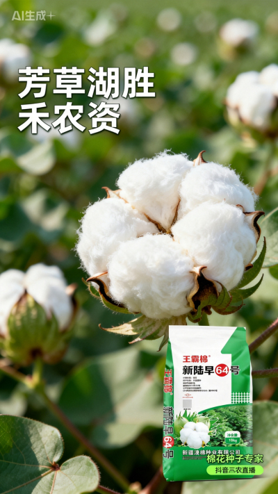 新疆棉花澳棉种业王霸棉，还有其它都好