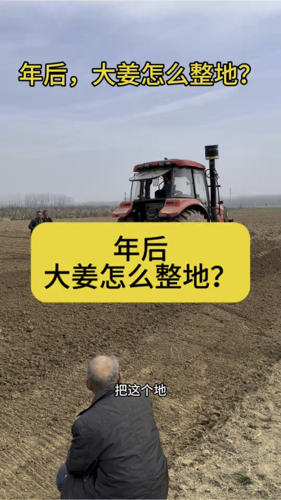 年后，大姜怎么整地？